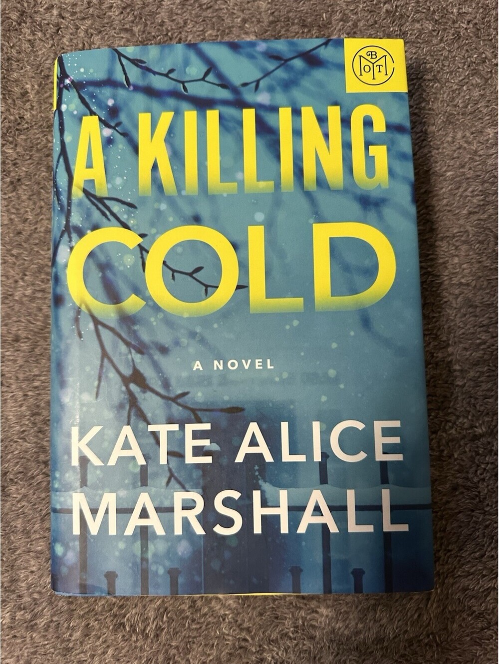 A Killing Cold by Kate Alice Marshall (2025) HCDJ VERY GOOD